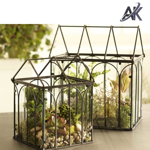 Steel and Glass Terrarium, Size : 5 to 40 Inch