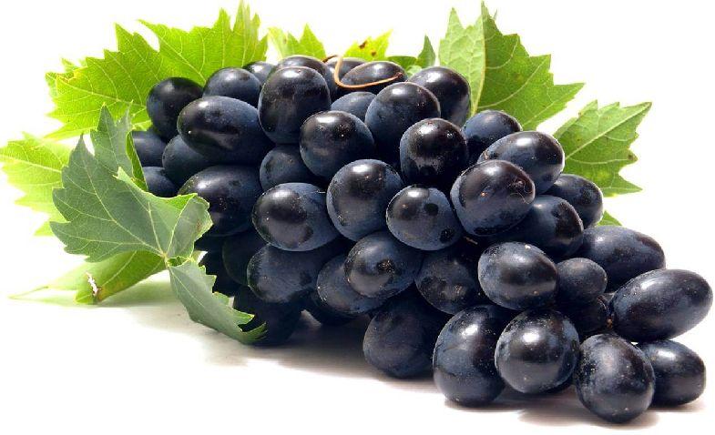 Organic fresh black grapes, Shelf Life : 7 days