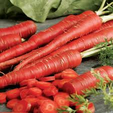 Organic Fresh Carrot, for Juice, Pickle, Snacks, Taste : Sweet