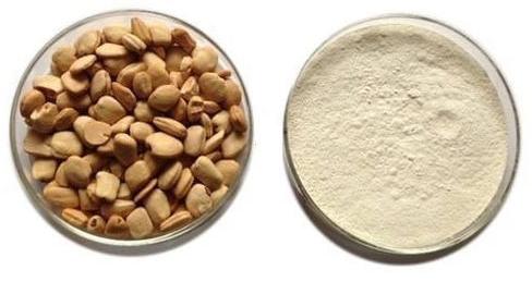 Organic tamarind seed powder, Feature : Healthy, Hygienically Packed