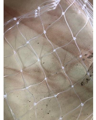 Outdoor Nylon Bird Net, Color : White