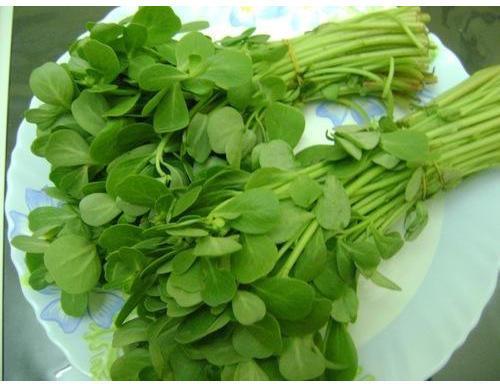 Fresh Fenugreek Leaves, Packaging Type : Jute Bag, Paper Box