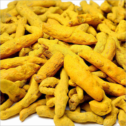 Polished Organic turmeric finger, for Cooking, Spices, Food Medicine, Cosmetics, Packaging Type : Plastic Pouch