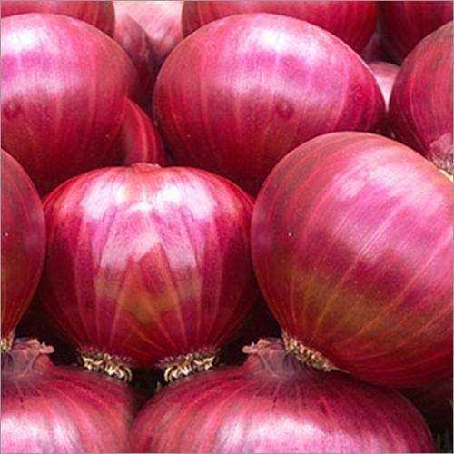 Organic Nashik Onion, for Cooking, Human Consumption, Feature : Freshness, Natural Taste