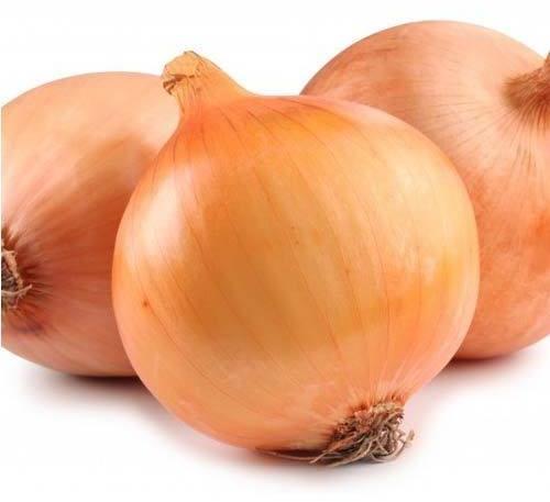 Sweet Onion, Shelf Life : 15days