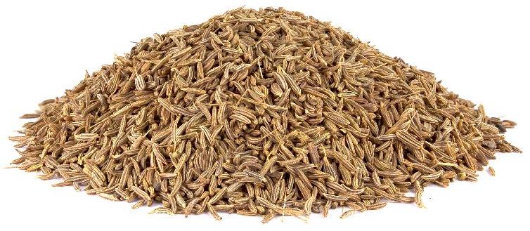White cumin seeds, Packaging Size : 50 KG