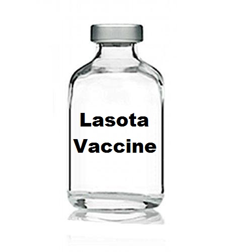 Lasota Vaccine, INR 19 / Unit by Swiss Chemie International from Kanpur