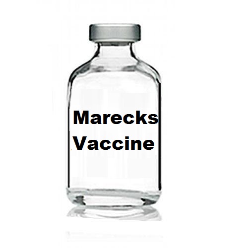 Trader of Vaccines from Kanpur, Uttar Pradesh by Swiss Chemie International