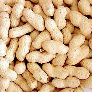 Raw peanuts, Shelf Life : 1year