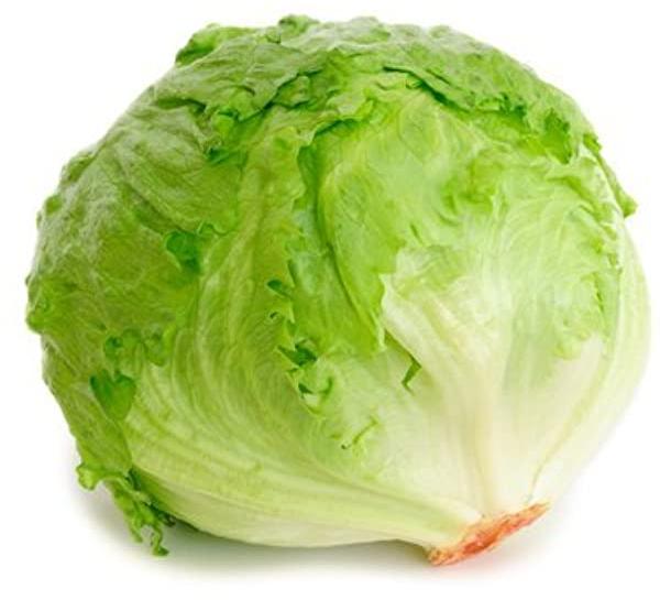 Fresh Lettuce, Color : Green