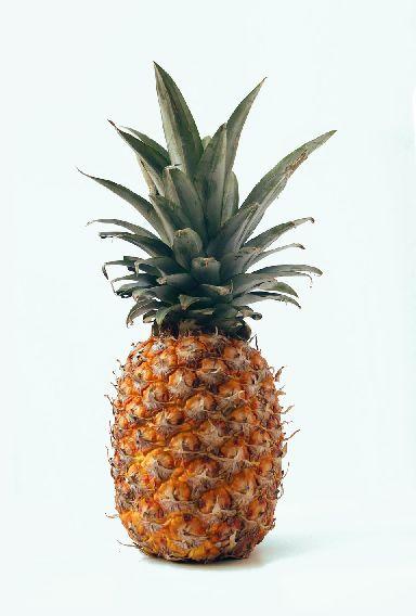 Fresh Pineapple, for Food, Juice, Form : Solid