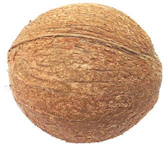 Sun Dry Fully Husked Coconut, Packaging Type : Plastic Bag