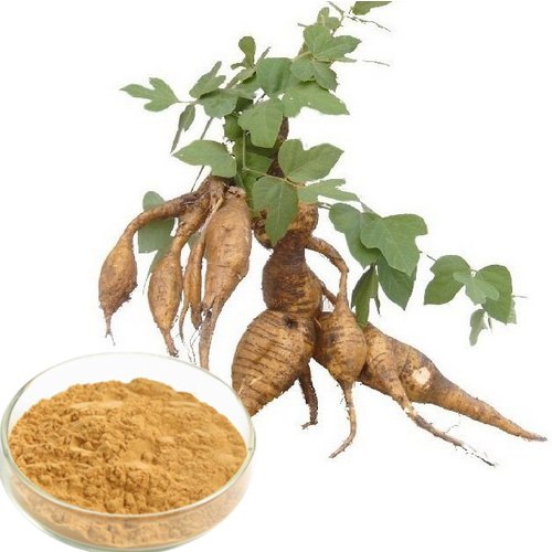 Navchetana Kendra Kudzu Root Extract, Packaging Size : One Box