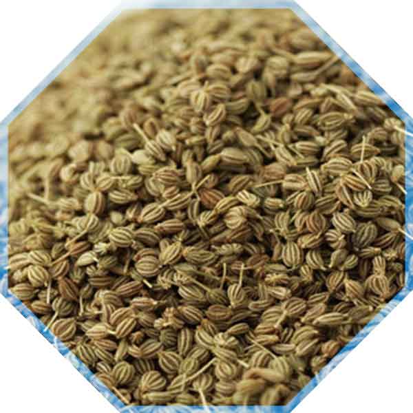 Raw Organic Ajwain, for Cooking, Spices, Packaging Type : Plastic Pouch, Plastic Packet