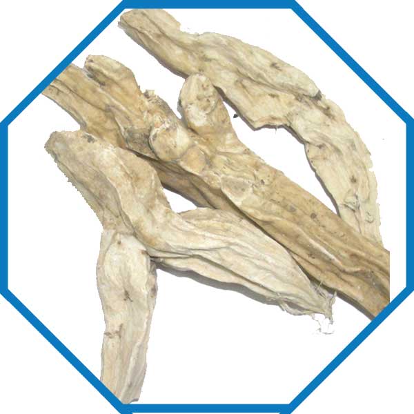 Unpolished Raw Organic BEHMAN SAFED, for Spices, Food Medicine, Packaging Type : Plastic Pouch, Plastic Packet