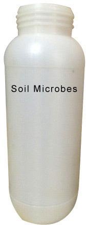 Soil Microbes