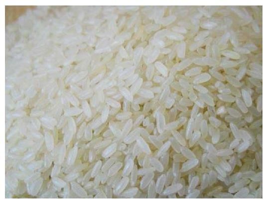 Royal, Sona Masoori Rice, Color : White