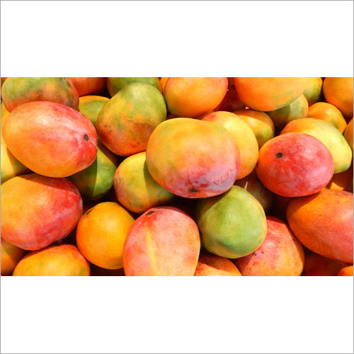 fresh mango