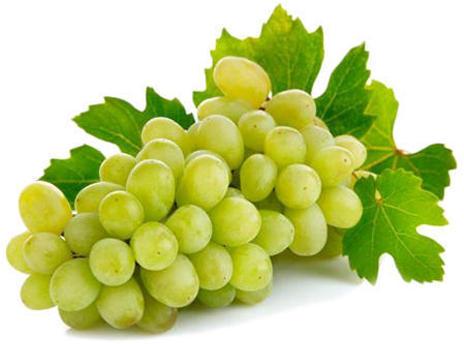 Organic fresh grapes, Packaging Type : Plastic Packet