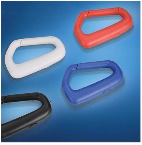 Carabiner Key Chains