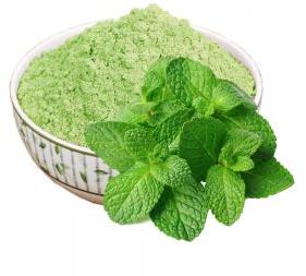 Dehydrated Mint Leaves Powder