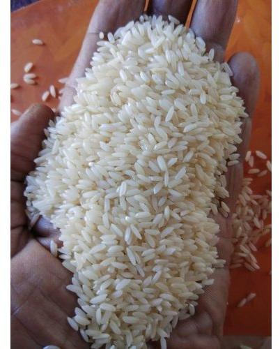 IR 64 Non Basmati Rice, Packaging Size : 25kg