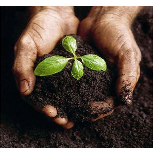 Organic manure, for Agriculture, Purity : 100%