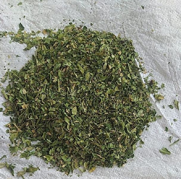 Moringa Dry Leaf