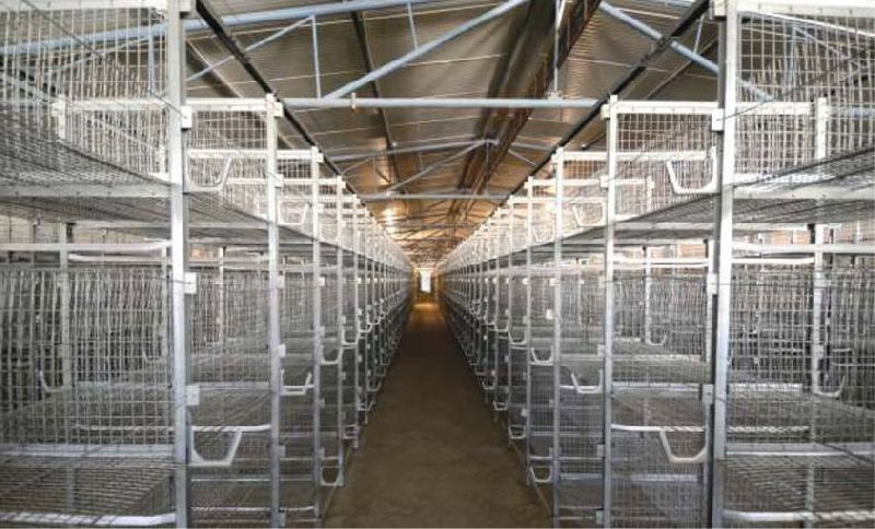 Polished Poultry Layer Cage, Color : Silver