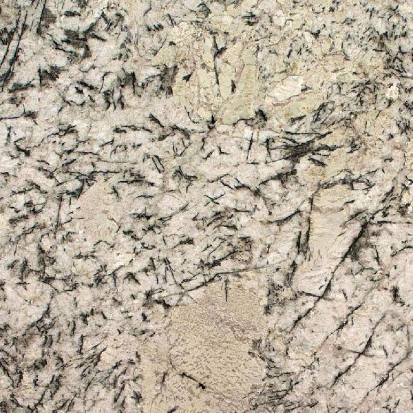Polished alaska white granite, Variety : Absolute