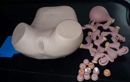 PVC mix with silicon Gynecological Examination Simulator, Color : Skin