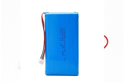 Lithium Polymer Battery Pack