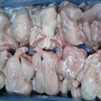 Frozen Whole Chicken