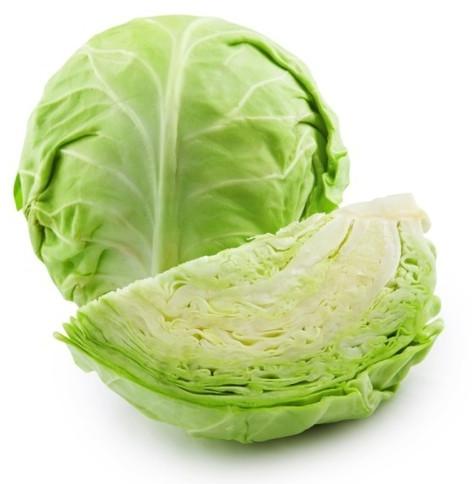 Round Organic Fresh Cabbage