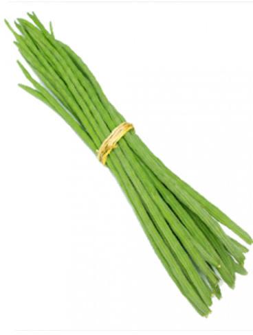 Organic Fresh Drumstick, Color : Green, Green