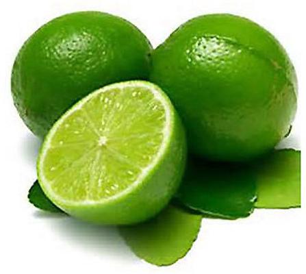 Organic Fresh Green Lemon, Taste : Sour