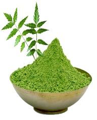 Neem Powder, for Herbal Medicines, Packaging Size : 5kg to 25kg