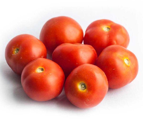 Organic Tomato