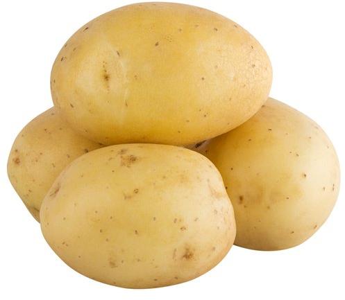 Oval Organic fresh potato, for Cooking, Style : Natural