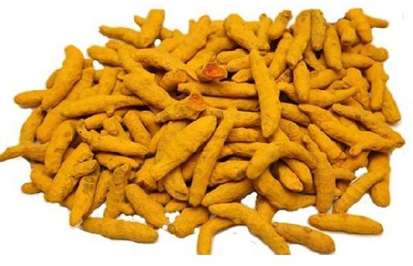 Turmeric Finger, Color : Yellow