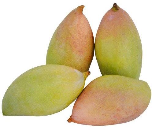 Totapuri Mango