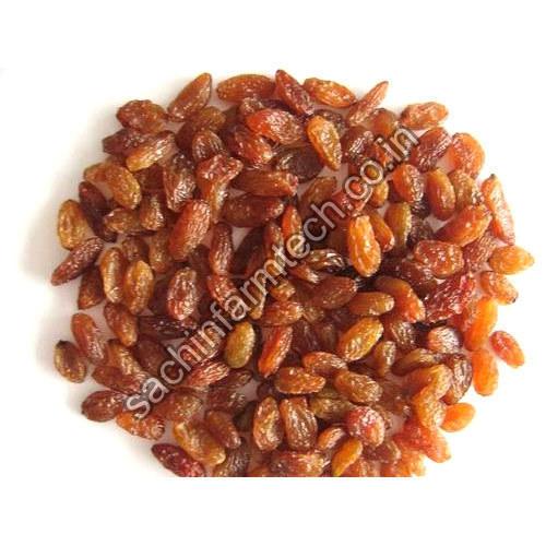 Brown raisins, Certification : FSSAI