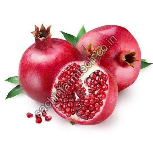 Fresh pomegranate, Shelf Life : 7-10days