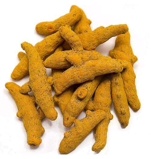 Hydroponic Dried Turmeric, Packaging Size : 100gm, 200gm, 500gm