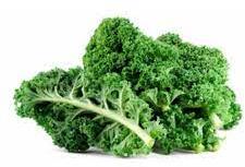 Hydroponic Fresh Kale
