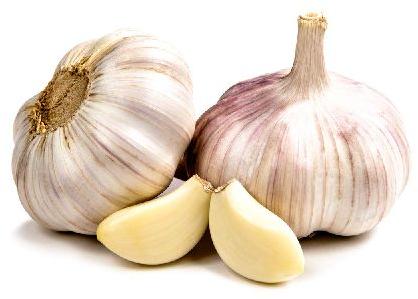 Organic fresh garlic, for Cooking, Packaging Type : Net Bags