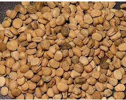 Natural ginger seeds, Packaging Type : Plastic Packet
