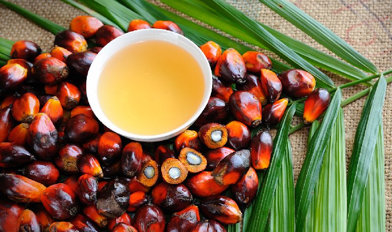 Palm oil, Shelf Life : 1year, 5years