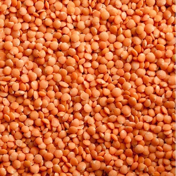 Natural Red Lentils, for Cooking, Feature : Healthy To Eat, Highly Hygienic