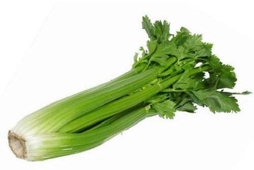 Fresh Celery, Color : Green